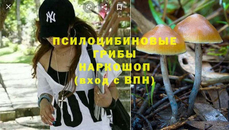 KRAKEN сайт  Десногорск  Псилоцибиновые грибы Psilocybine cubensis 